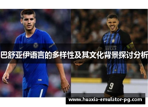 巴舒亚伊语言的多样性及其文化背景探讨分析