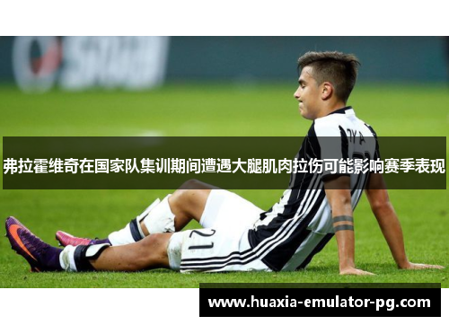 弗拉霍维奇在国家队集训期间遭遇大腿肌肉拉伤可能影响赛季表现 弗拉霍维奇在国家队集训期间遭遇大腿肌肉拉伤可能影响赛季表现